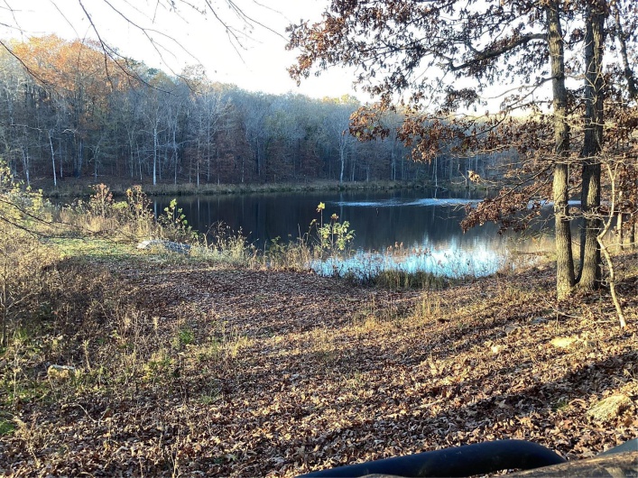 View of water feature