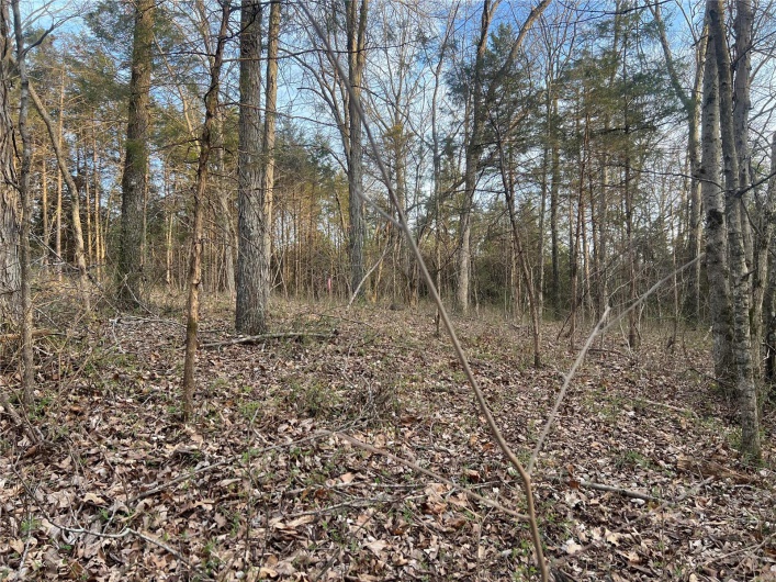 1183 Hwy J, Fredericktown, Missouri 63645, ,Farm,For Sale,Hwy J,MAR25016486