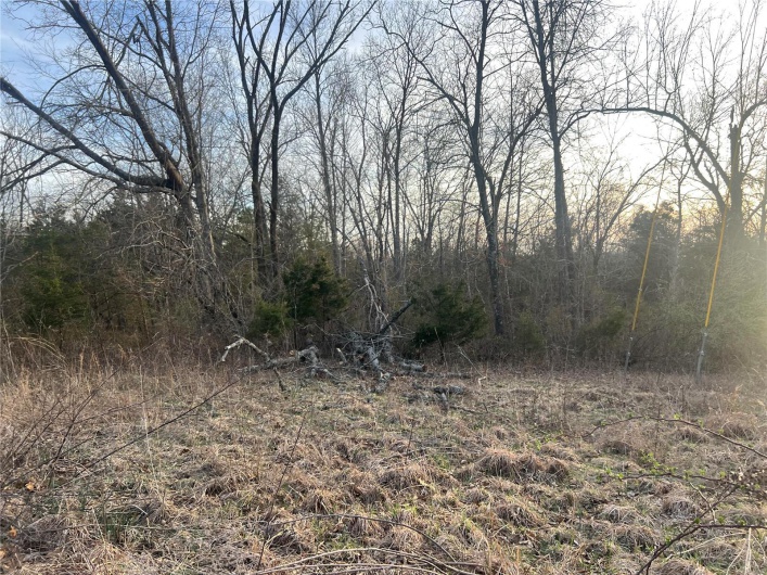 1183 Hwy J, Fredericktown, Missouri 63645, ,Farm,For Sale,Hwy J,MAR25016486