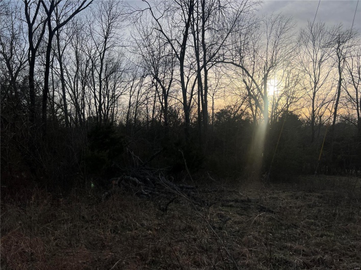 1183 Hwy J, Fredericktown, Missouri 63645, ,Farm,For Sale,Hwy J,MAR25016486