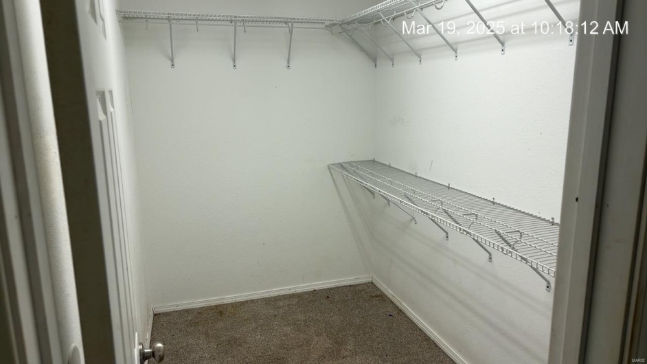 Walk in closet with carpet flooring