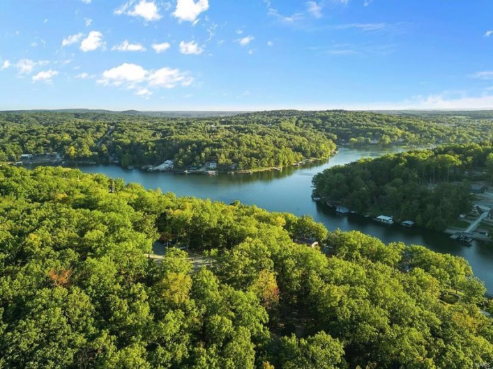 Drone / aerial view with a view of trees and a water view