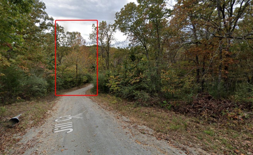 View of road with a forest view