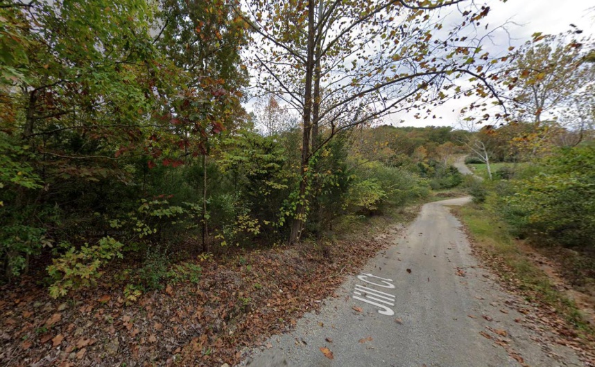 View of road featuring a wooded view