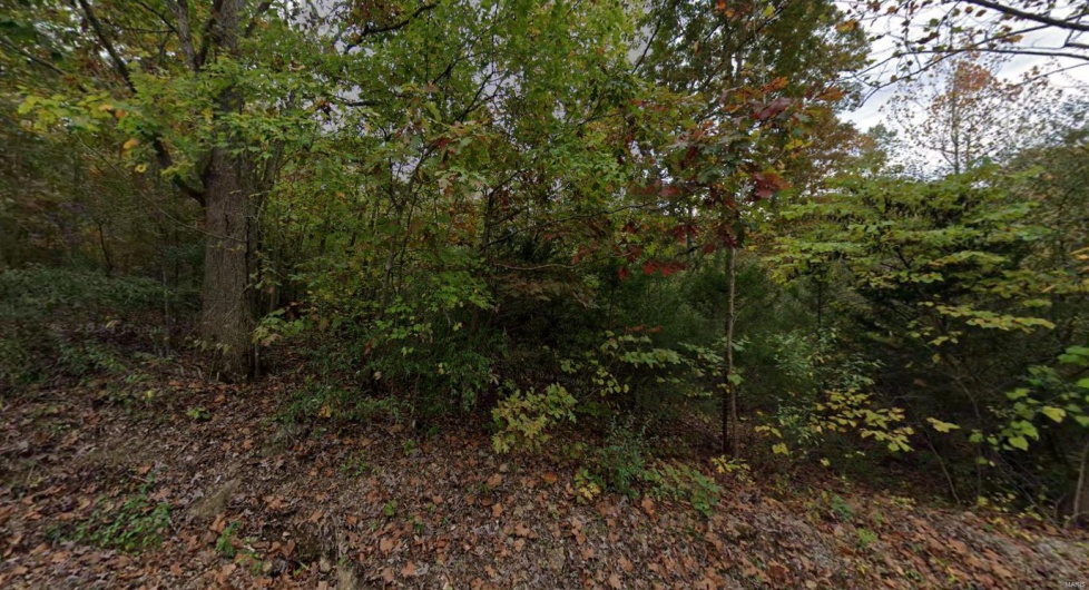 View of landscape featuring a view of trees