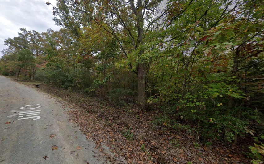 View of road