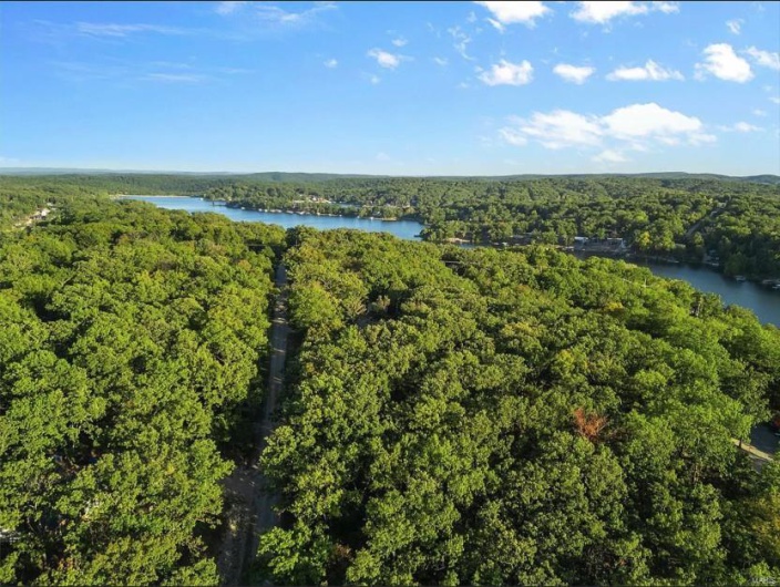 Aerial view with a forest view and a water view