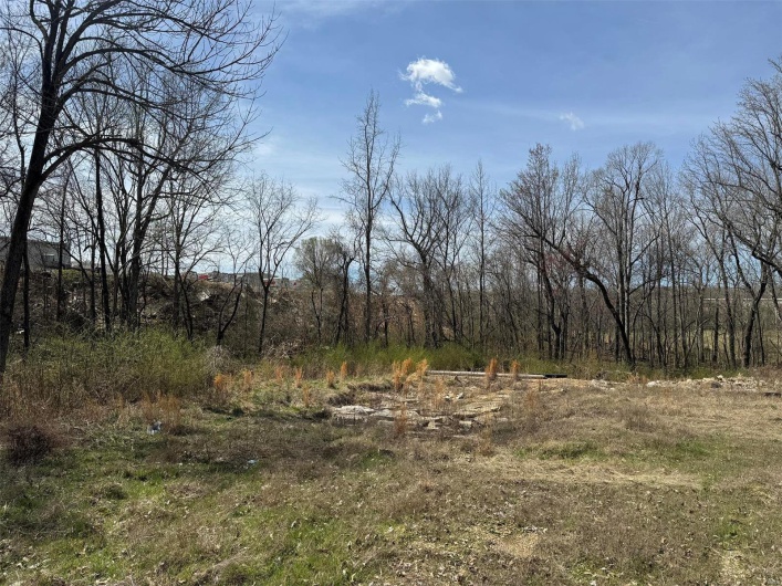 View of local wilderness