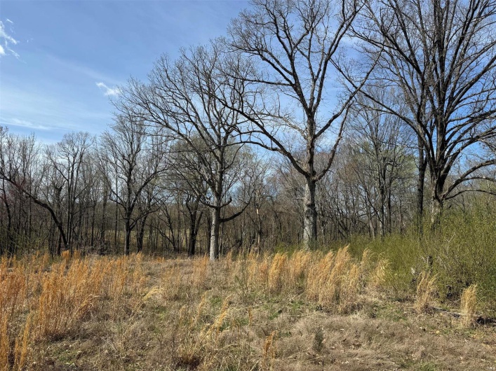 View of landscape featuring a forest view