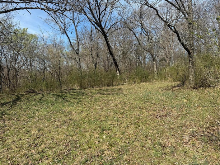 View of local wilderness