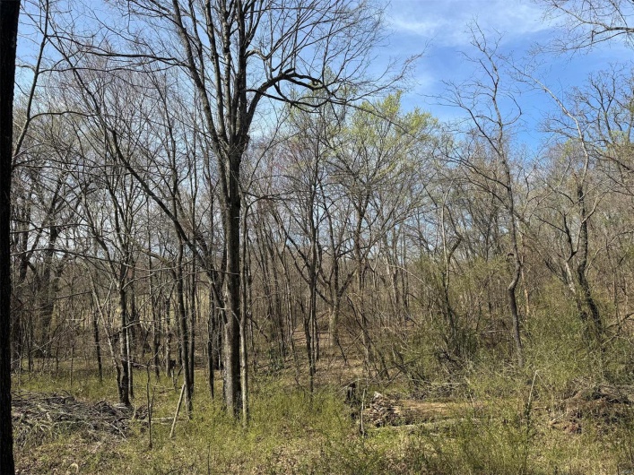 View of landscape featuring a wooded view