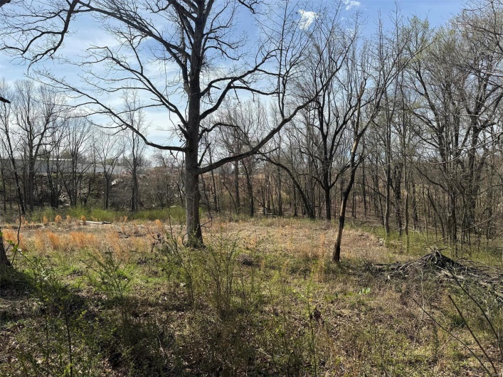 View of local wilderness with a view of trees