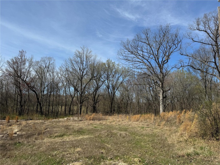 View of landscape with a wooded view