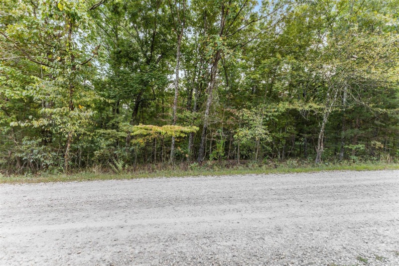 0 Tiffany Drive, Bonne Terre, Missouri 63628, ,Land,For Sale,Tiffany,MAR24060706