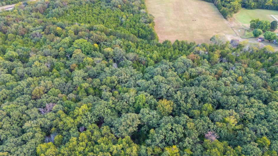 0 Tiffany Drive, Bonne Terre, Missouri 63628, ,Land,For Sale,Tiffany,MAR24060706
