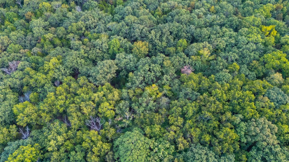 0 Tiffany Drive, Bonne Terre, Missouri 63628, ,Land,For Sale,Tiffany,MAR24060706