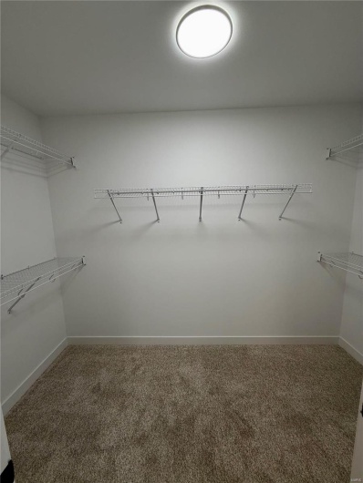 Spacious closet with carpet flooring