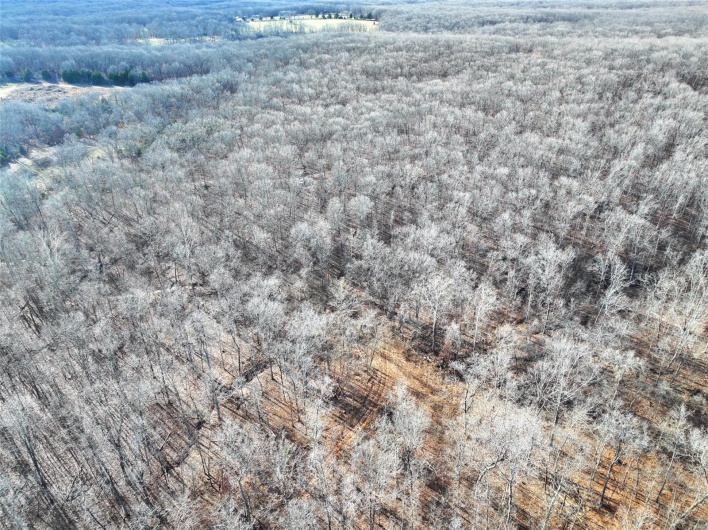 0 Tower Road, Bonne Terre, Missouri 63628, ,Farm,For Sale,Tower,MAR25017130