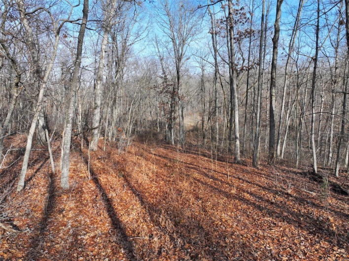 0 Tower Road, Bonne Terre, Missouri 63628, ,Farm,For Sale,Tower,MAR25017130