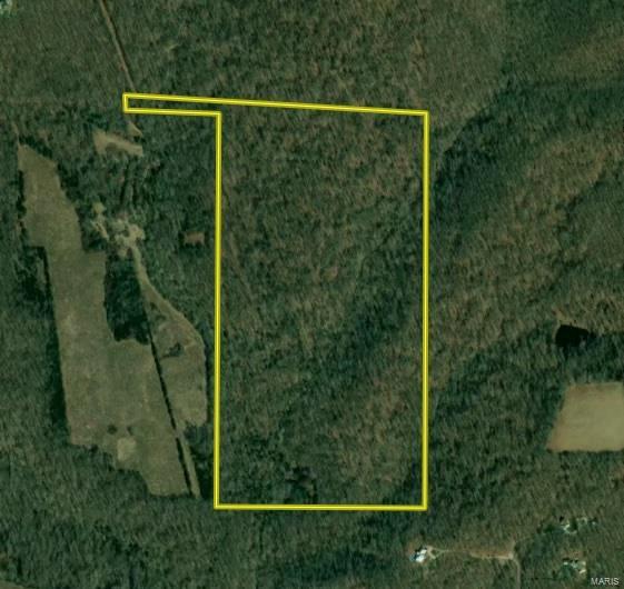 0 Tower Road, Bonne Terre, Missouri 63628, ,Farm,For Sale,Tower,MAR25017130