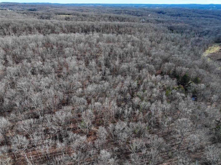 0 Tower Road, Bonne Terre, Missouri 63628, ,Farm,For Sale,Tower,MAR25017130