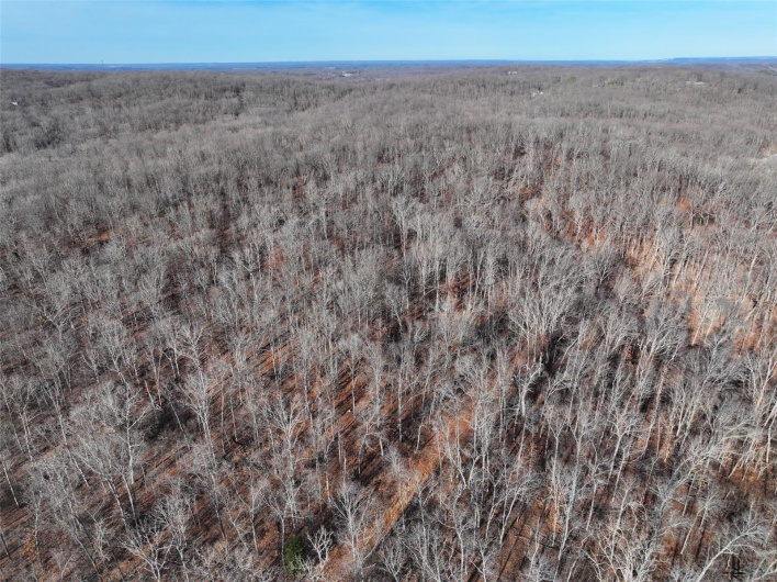 0 Tower Road, Bonne Terre, Missouri 63628, ,Farm,For Sale,Tower,MAR25017130