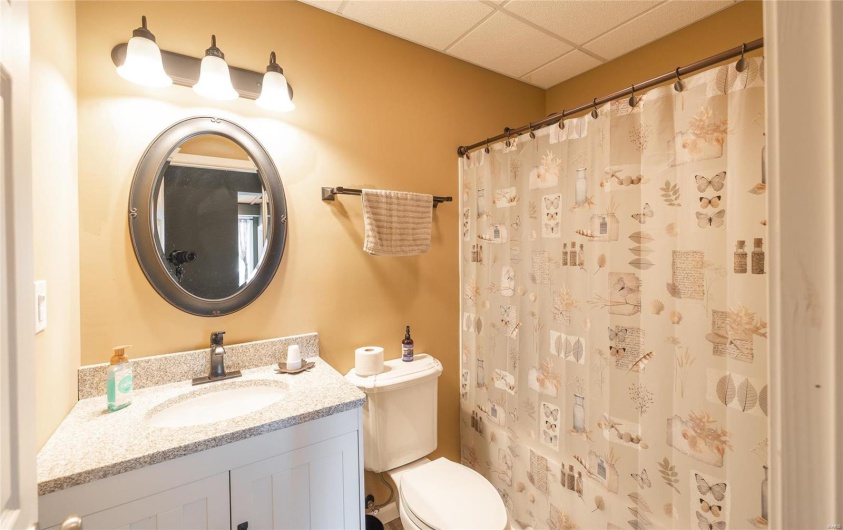 Bathroom with a drop ceiling, toilet, vanity, and a shower with curtain