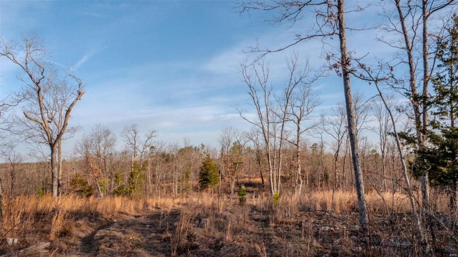 0 Mo-O, Belleview, Missouri 63623, ,Farm,For Sale,Mo-O,MAR25017262