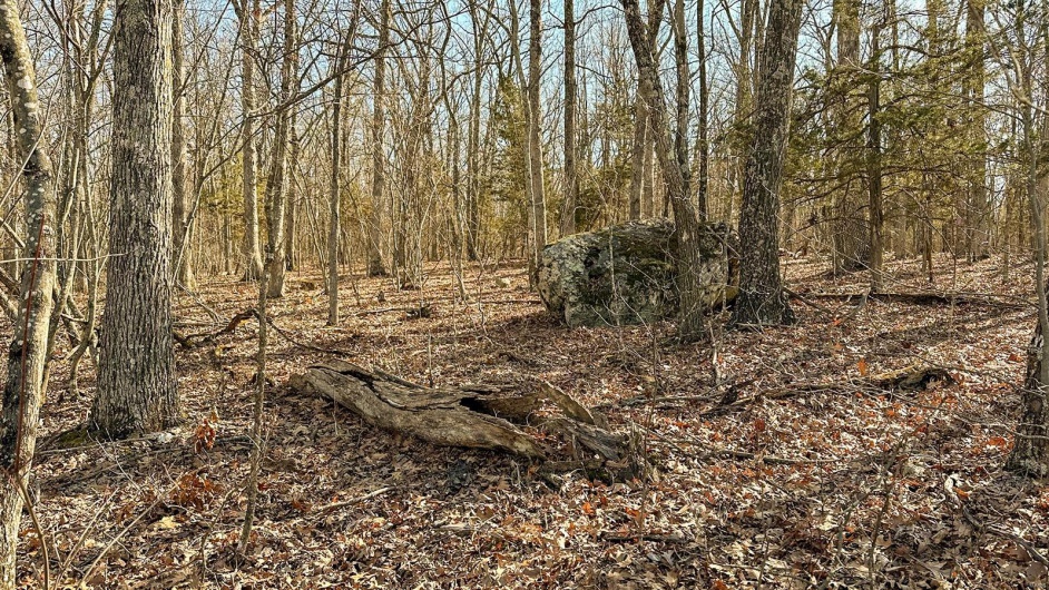 0 Mo-O, Belleview, Missouri 63623, ,Farm,For Sale,Mo-O,MAR25017262