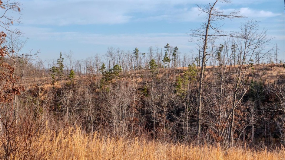 0 Mo-O, Belleview, Missouri 63623, ,Farm,For Sale,Mo-O,MAR25017262