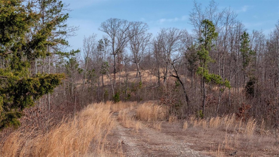 0 Mo-O, Belleview, Missouri 63623, ,Farm,For Sale,Mo-O,MAR25017262