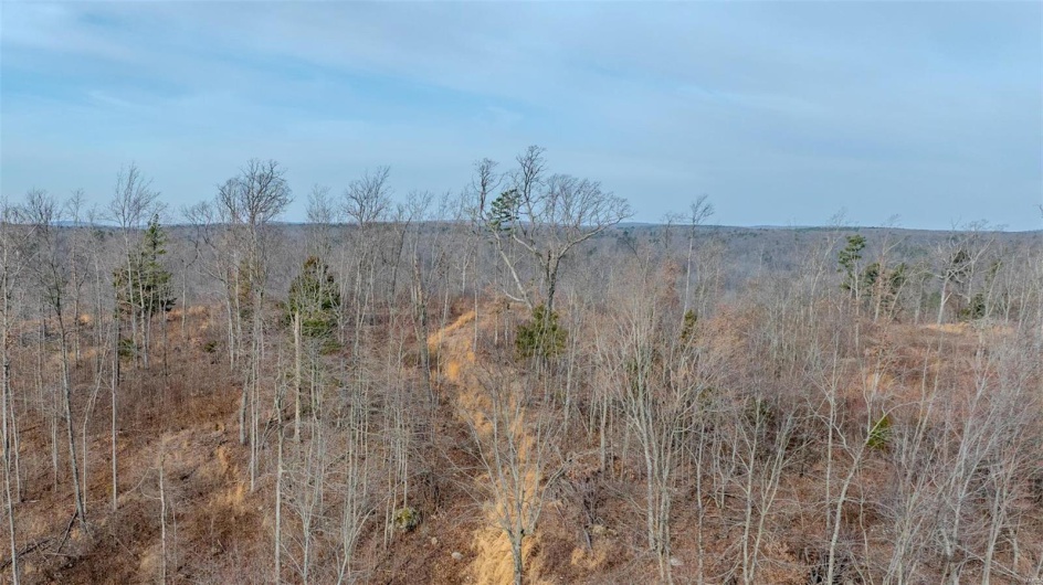 0 Mo-O, Belleview, Missouri 63623, ,Farm,For Sale,Mo-O,MAR25017262