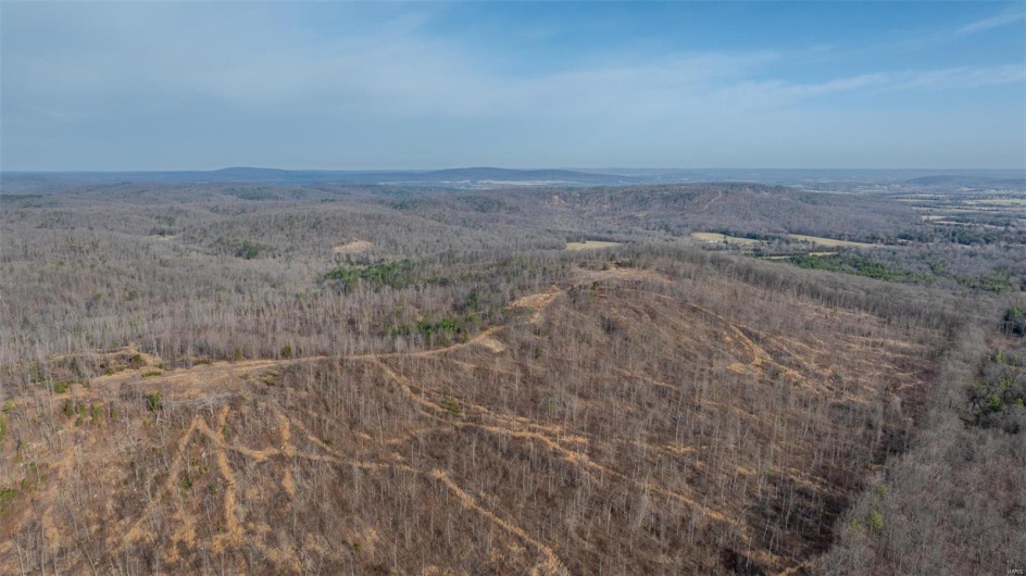 0 Mo-O, Belleview, Missouri 63623, ,Farm,For Sale,Mo-O,MAR25017262