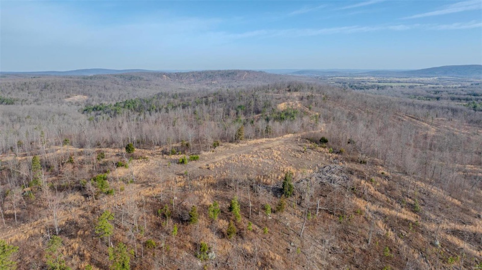 0 Mo-O, Belleview, Missouri 63623, ,Farm,For Sale,Mo-O,MAR25017262