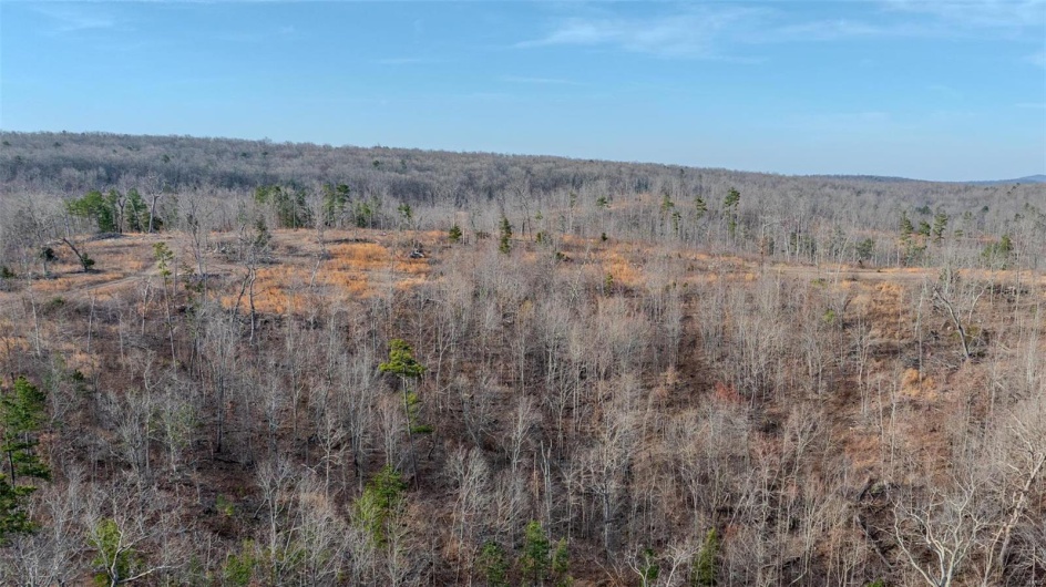 0 Mo-O, Belleview, Missouri 63623, ,Farm,For Sale,Mo-O,MAR25017262