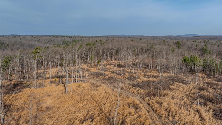 0 Mo-O, Belleview, Missouri 63623, ,Farm,For Sale,Mo-O,MAR25017262