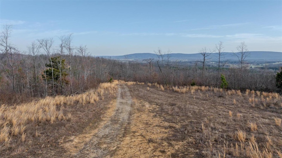 0 Mo-O, Belleview, Missouri 63623, ,Farm,For Sale,Mo-O,MAR25017262