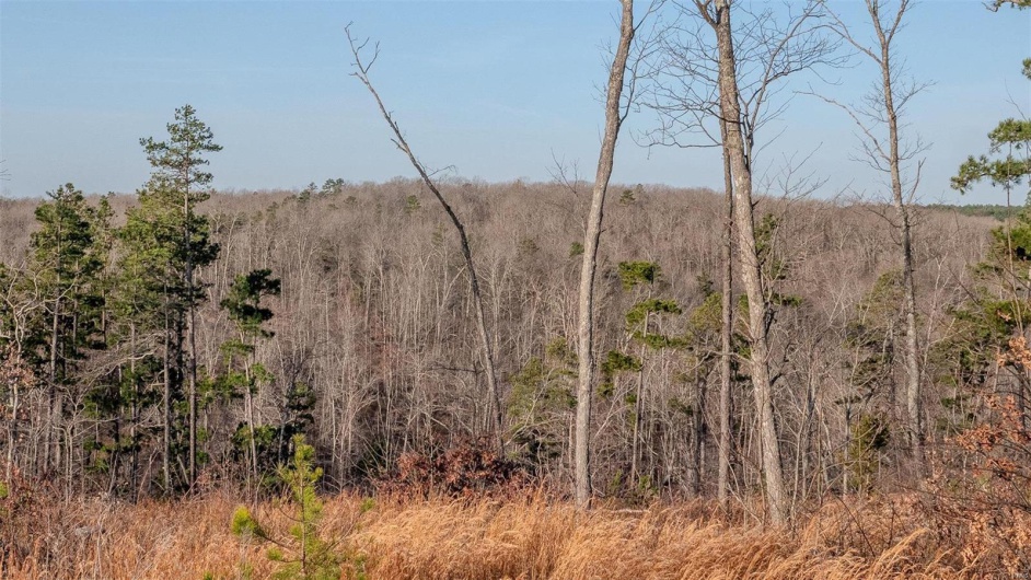 0 Mo-O, Belleview, Missouri 63623, ,Farm,For Sale,Mo-O,MAR25017262