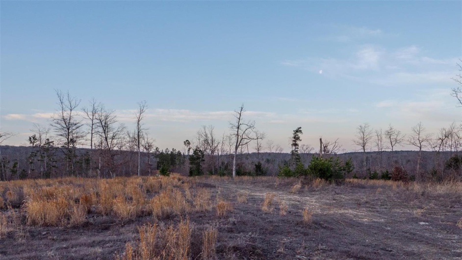 0 Mo-O, Belleview, Missouri 63623, ,Farm,For Sale,Mo-O,MAR25017262