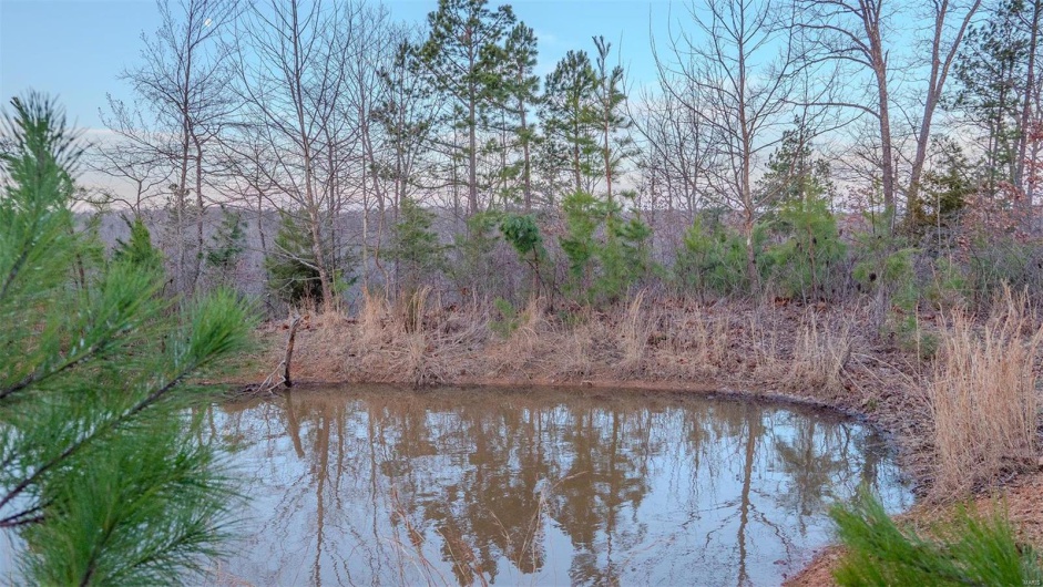 0 Mo-O, Belleview, Missouri 63623, ,Farm,For Sale,Mo-O,MAR25017262
