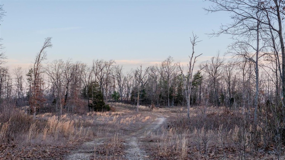 0 Mo-O, Belleview, Missouri 63623, ,Farm,For Sale,Mo-O,MAR25017262