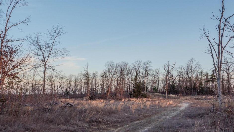 0 Mo-O, Belleview, Missouri 63623, ,Farm,For Sale,Mo-O,MAR25017262