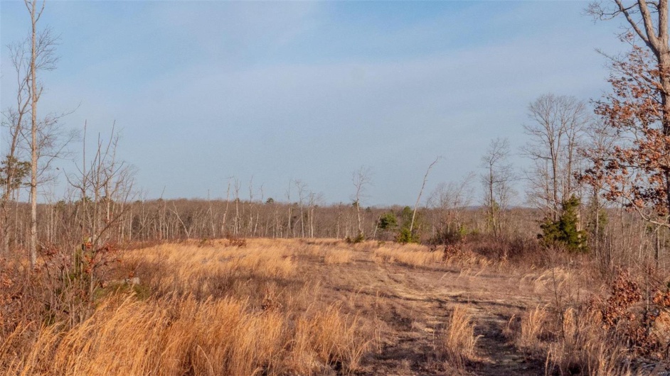 0 Mo-O, Belleview, Missouri 63623, ,Farm,For Sale,Mo-O,MAR25017262