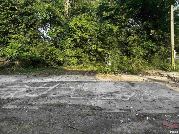111 Midkiff Street, Harrisburg, Illinois 62946, 0 , 0 ,0,Land,For Sale,Midkiff,0,RMAEB457205