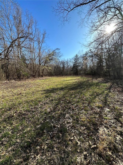 0 Log RD, Patterson, Missouri 63956, 2 Bedrooms Bedrooms, 6 Rooms Rooms,2 BathroomsBathrooms,Farm,For Sale,Log RD,MAR25017390