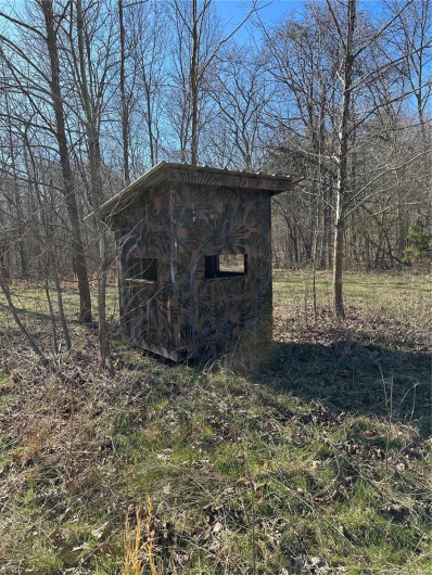 0 Log RD, Patterson, Missouri 63956, 2 Bedrooms Bedrooms, 6 Rooms Rooms,2 BathroomsBathrooms,Farm,For Sale,Log RD,MAR25017390