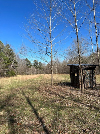 0 Log RD, Patterson, Missouri 63956, 2 Bedrooms Bedrooms, 6 Rooms Rooms,2 BathroomsBathrooms,Farm,For Sale,Log RD,MAR25017390
