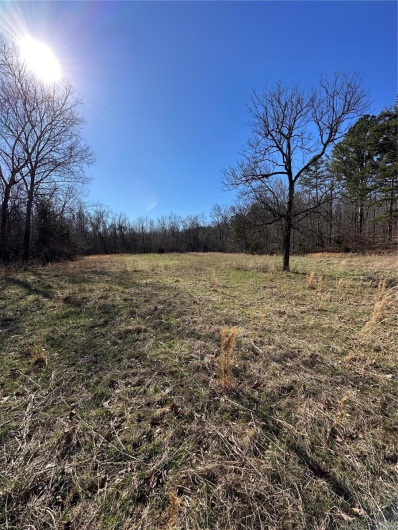 0 Log RD, Patterson, Missouri 63956, 2 Bedrooms Bedrooms, 6 Rooms Rooms,2 BathroomsBathrooms,Farm,For Sale,Log RD,MAR25017390