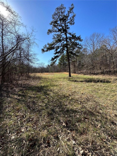 0 Log RD, Patterson, Missouri 63956, 2 Bedrooms Bedrooms, 6 Rooms Rooms,2 BathroomsBathrooms,Farm,For Sale,Log RD,MAR25017390