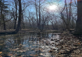 0 Log RD, Patterson, Missouri 63956, 2 Bedrooms Bedrooms, 6 Rooms Rooms,2 BathroomsBathrooms,Farm,For Sale,Log RD,MAR25017390